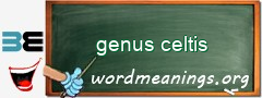 WordMeaning blackboard for genus celtis